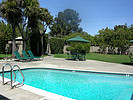 Property Image 909Swimming Pool